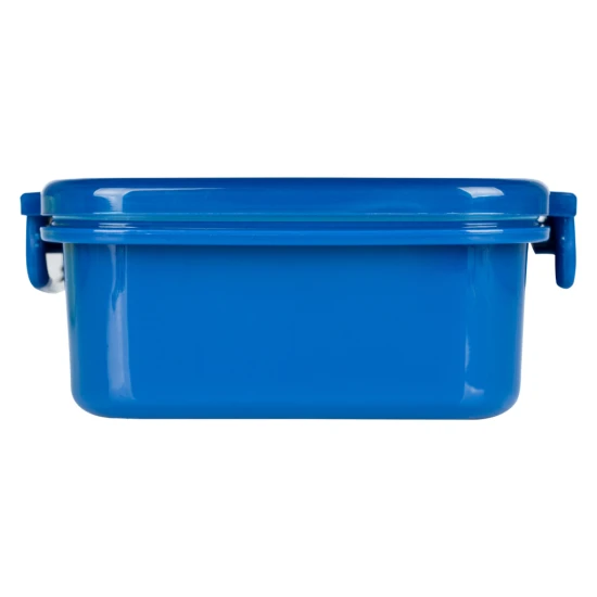 Brotdose mit Trennwänden Dino