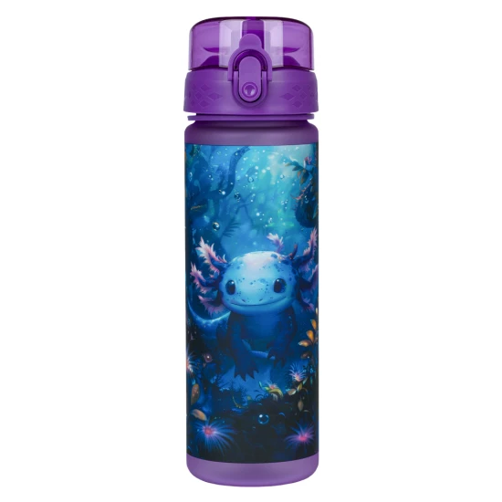 Axolotl 500 ml Tritan-Trinkflasche mit praktischem Verschluss und fröhlichem Motiv.