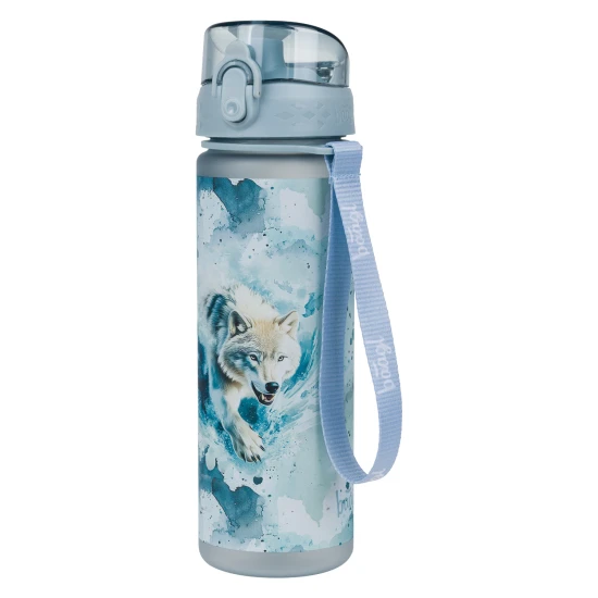 Tritan-Trinkflasche Polar 500 ml