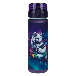 Tritan-Trinkflasche Aurora 500 ml