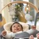 Umwandelbare, vibrierende Schaukel mit Melodie Every Season™ Chic Boutique™ 0M+ bis 9 kg Ingenuity 17104-2