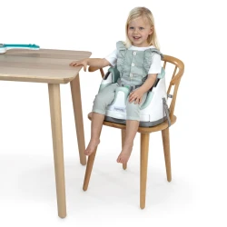 2-in-1-Sitzverkleiner für Stühle Baby Base™ Mist 6M+ bis 15 kg
