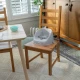 Sitzverkleiner für Stühle My Spot™ Grey 6M+, bis 15 kg Sitzverkleiner für Stühle My Spot™ Grey 6M+, bis 15 kg Ingenuity 17481-3