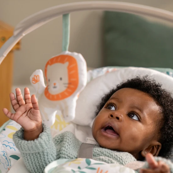 Vibrierende Wippe 3-in-1 Keep Cozy™ Madi™ 0M+, bis 18 kg Ingenuity 17498-1