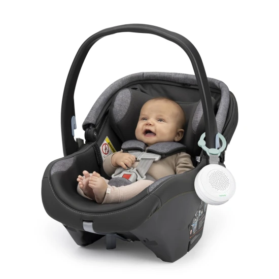 Musik-Player mit Bluetooth Pock-a-Bye Baby™ 6M+ Musik-Player mit Bluetooth Pock-a-Bye Baby™ 6M+ Ingenuity 16729-6
