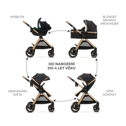 Kombi-Kinderwagen 3in1 Esme Pro Pure Black