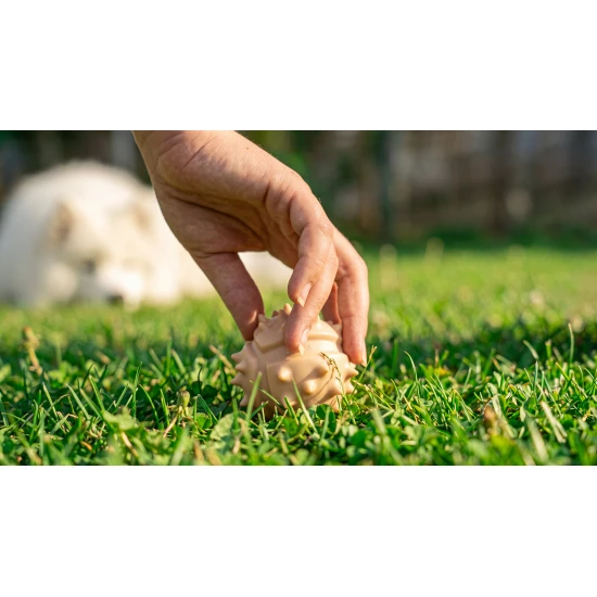 Sensorischer Ball Kastanie Sensorischer Ball Kastanie MUFFIK MFA-11-1-1