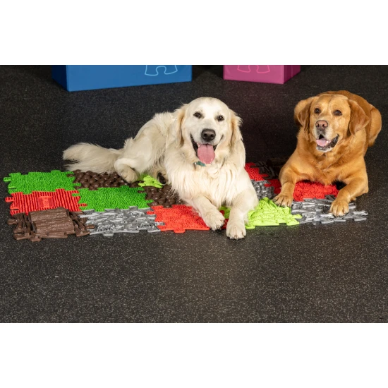 Set orthopädischer Matten für Hunde Set orthopädischer Matten für Hunde MUFFIK MFK-069