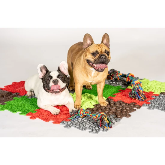 Set orthopädischer Matten für Hunde Set orthopädischer Matten für Hunde MUFFIK MFK-069