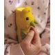 Rabbit and Friends Kinder-Taschenlampe Drache