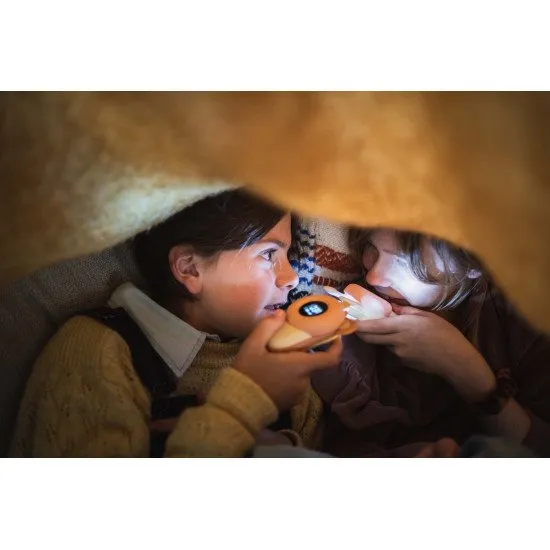 Das Kinderradio-Set von Zoofamily enthält 2 Radios.