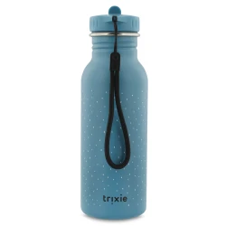 Triceratops Flasche 500 ml