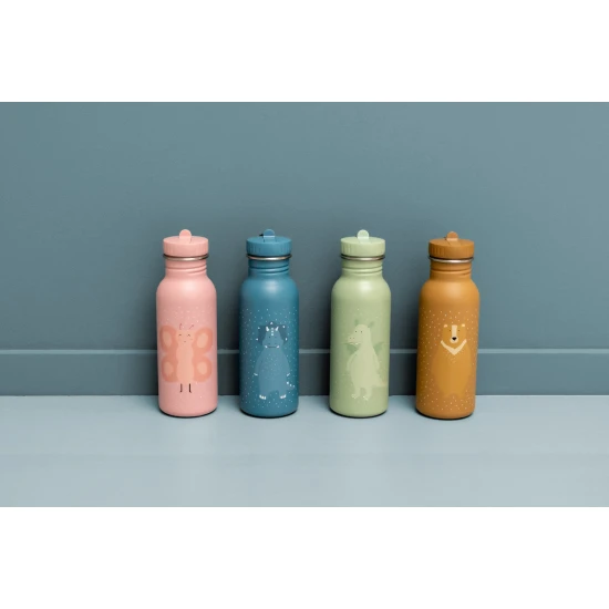 Triceratops Flasche 500 ml