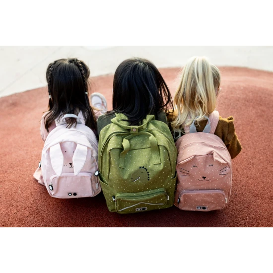 Der Rucksack ist der ideale Begleiter für ein Kind, das Dinosaurier liebt.