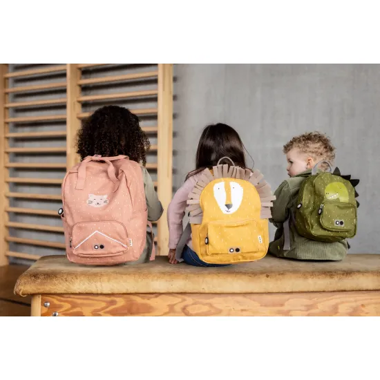 Der Rucksack ist ein idealer Begleiter für ein Kind, das Katzen liebt.