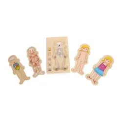 Lilis Puzzle zum menschlichen Körper