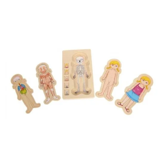 Lilis Puzzle zum menschlichen Körper