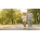 Hosen und Jogginghosen