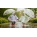 Regenschirme und Regenmäntel