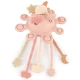 Bieco Silikon-Motorikspielzeug mit Aktivitäten dreamy rose BIECO_20000090