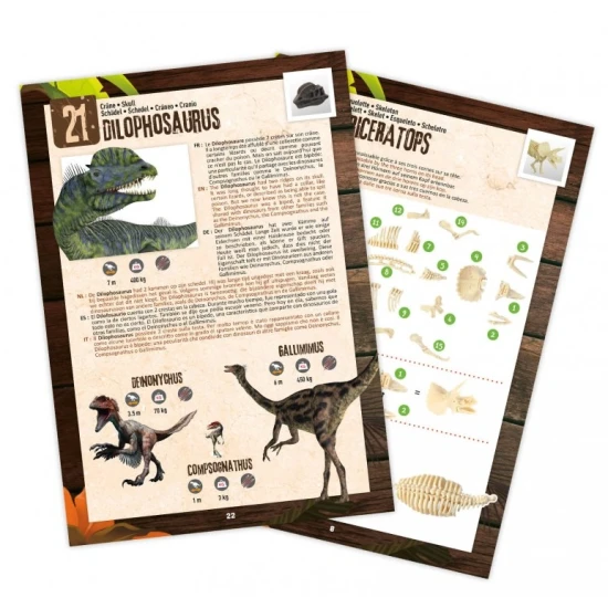 Das Dino Surprise Pack enthält 25 Packungen mit verschiedenen Artikeln.