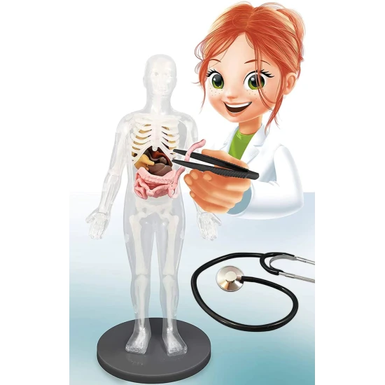 Kinder-Experimentierset mit einem ca. 30 cm hohen Modell des menschlichen Körpers und Zubehör zur Durchführung von 12 Experimenten.