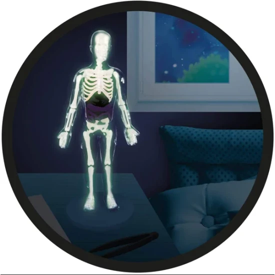 Kinder-Experimentierset mit einem ca. 30 cm hohen Modell des menschlichen Körpers und Zubehör zur Durchführung von 12 Experimenten.