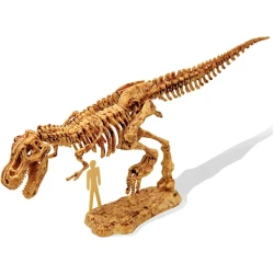 DinoKIT-Ausgrabung und T-Rex-Skelett