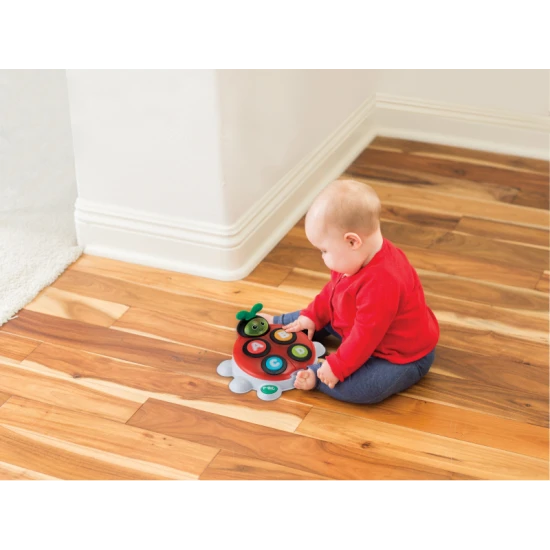 Musikalisches Marienkäfer-Alphabet & Farben