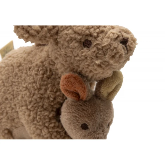 Hängende Känguruwurzeln