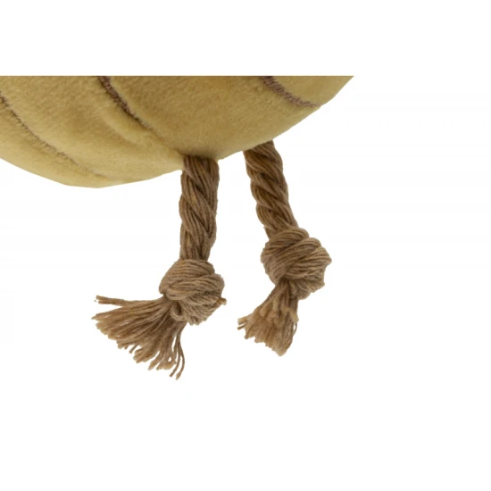 Hängende Biene Hübsches Picknick