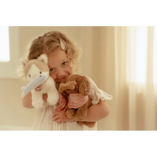 Plüschkatze in einer Handtasche