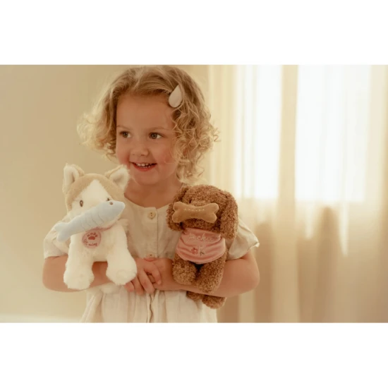 Plüschhund in einer Handtasche