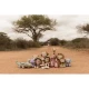 Little Dutch Puppe Ranger Jim 35 cm Safari Friends 4686LD