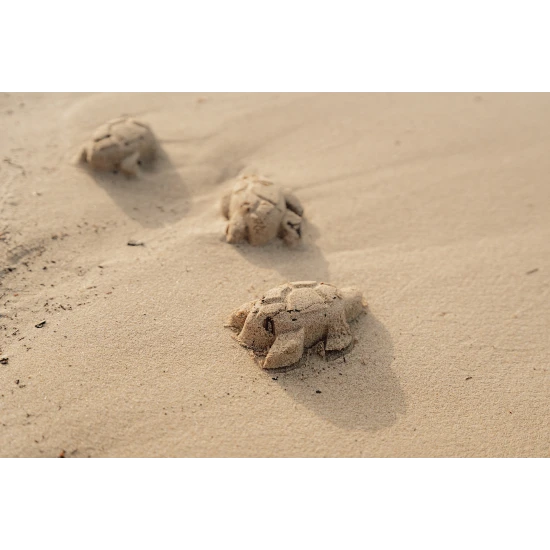 Das Sandset mit Meeresmotiven ist für Kinder zu Hause im Garten und am Meer am Strand nützlich.