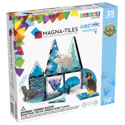 Arktischer Magnetbaukasten 25 Teile
