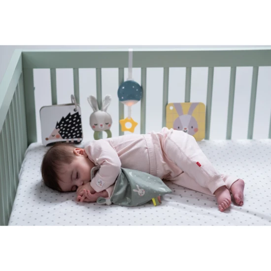 Spielzeug-Set Bedtime Kit – Taf Toys 13265TAF