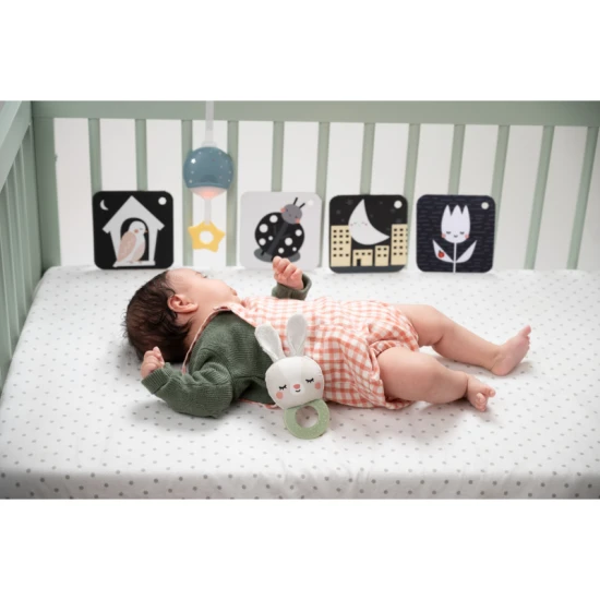 Spielzeug-Set Bedtime Kit – Taf Toys 13265TAF