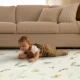 Tiny Love Faltbare Schaumstoff-Spielmatte Boho Chic