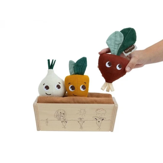 Gemüsegarten Gemüsegarten