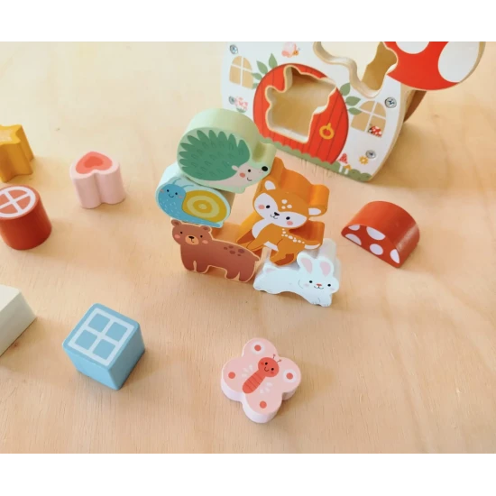 Holz-Formenbaustein mit 12 bunten Formen für Kinder