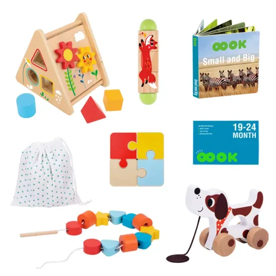 19–24 Monate Lernbox Maxi Lernspielzeug bis 2 Jahre Tooky Toy