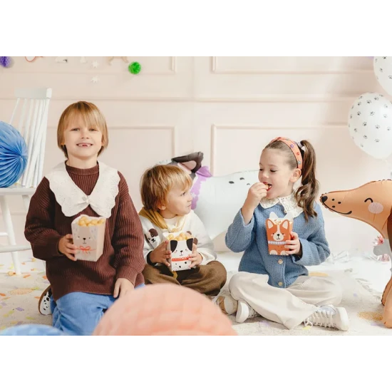 Popcornboxen mit Hund für eine Kinderparty