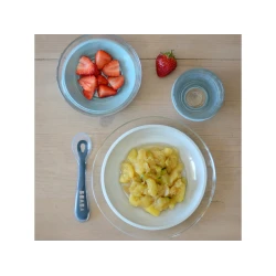 Glas-Essgeschirr mit Saugnäpfen Jungle