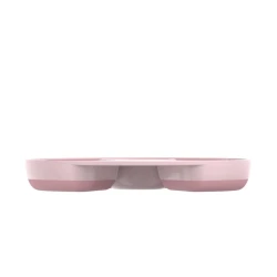 Kinderteller unterteilt nach Fairy Garden