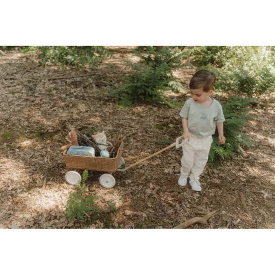 Kinderkoffer Forest Friends mit Aufdruck von Waldmotiven