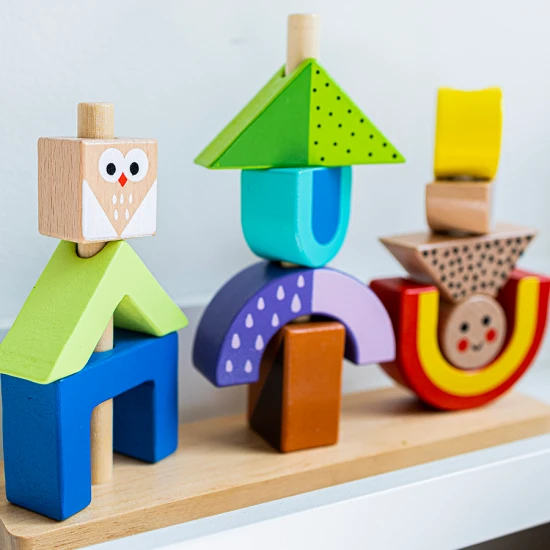 Schatten-Puzzlespiel für Kinder Tooky Toy