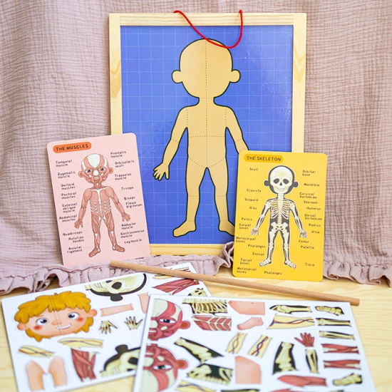 Magnetpuzzle Menschlicher Körper für Kinder
