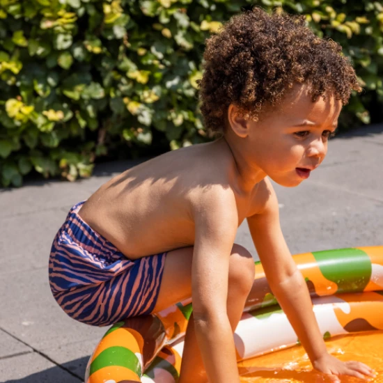 Kinder-Badeshorts für Jungen mit LSF 50+ Zebra Swim Essentials